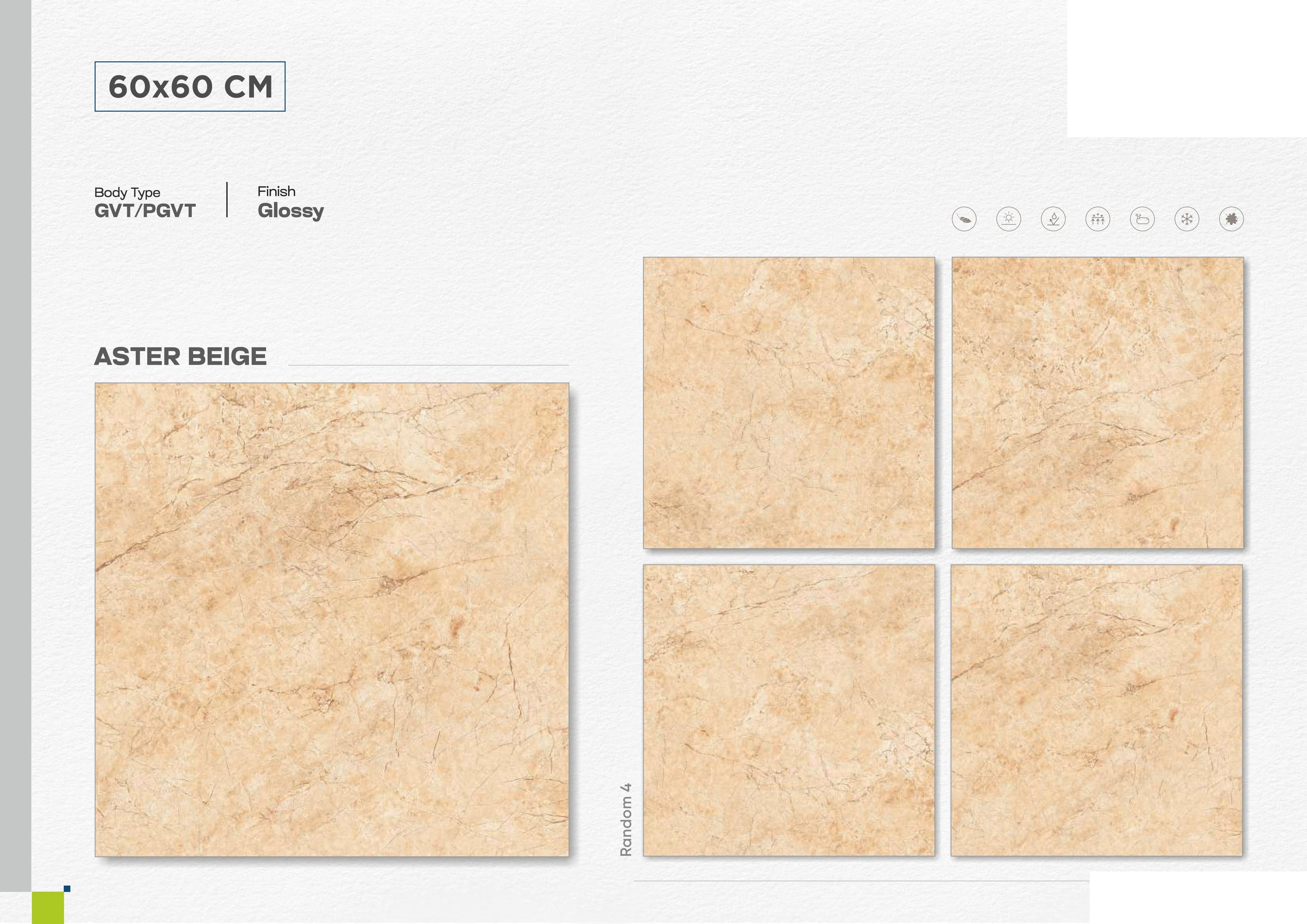 Aster Beige