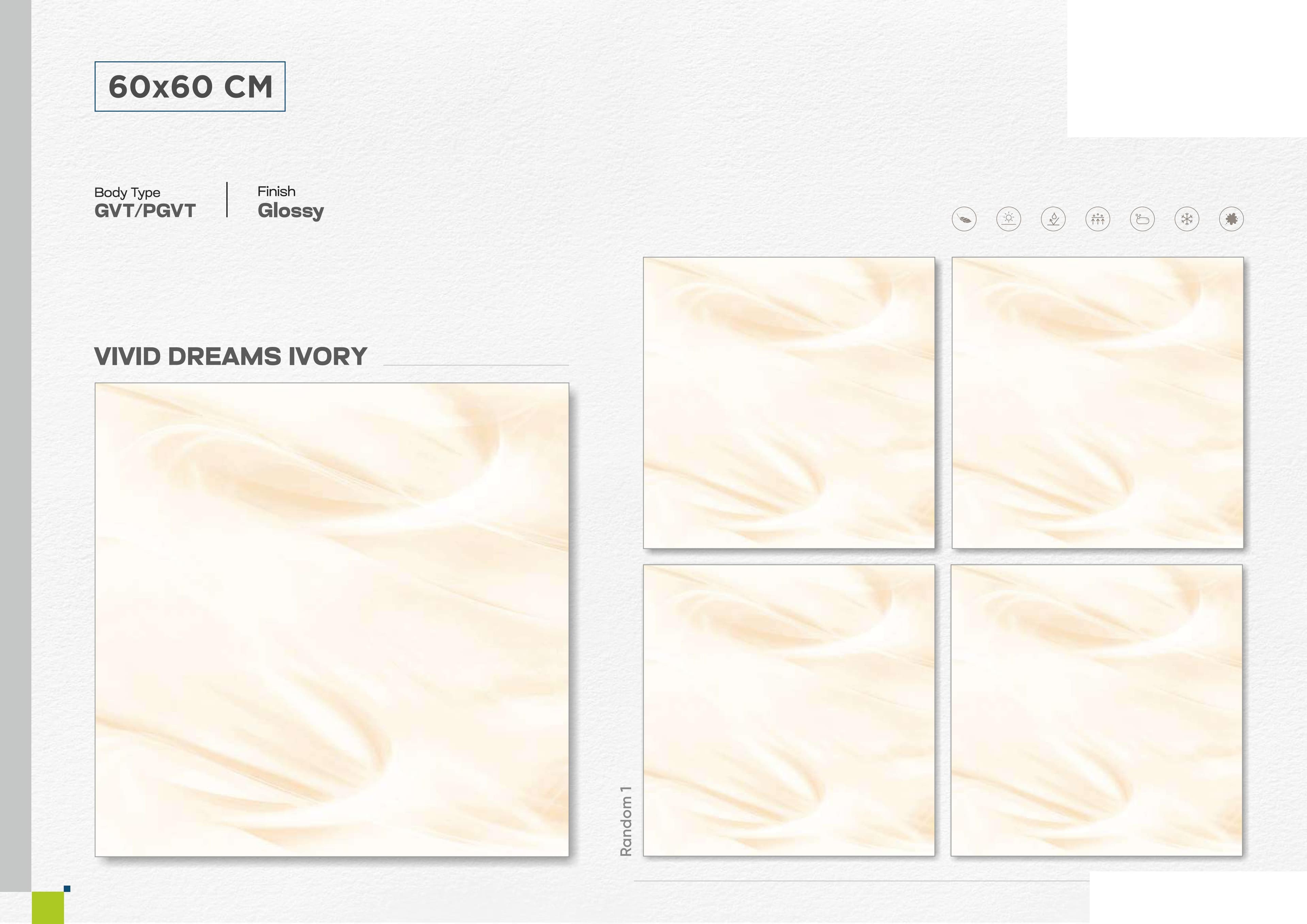 Vivid Dreams Ivory