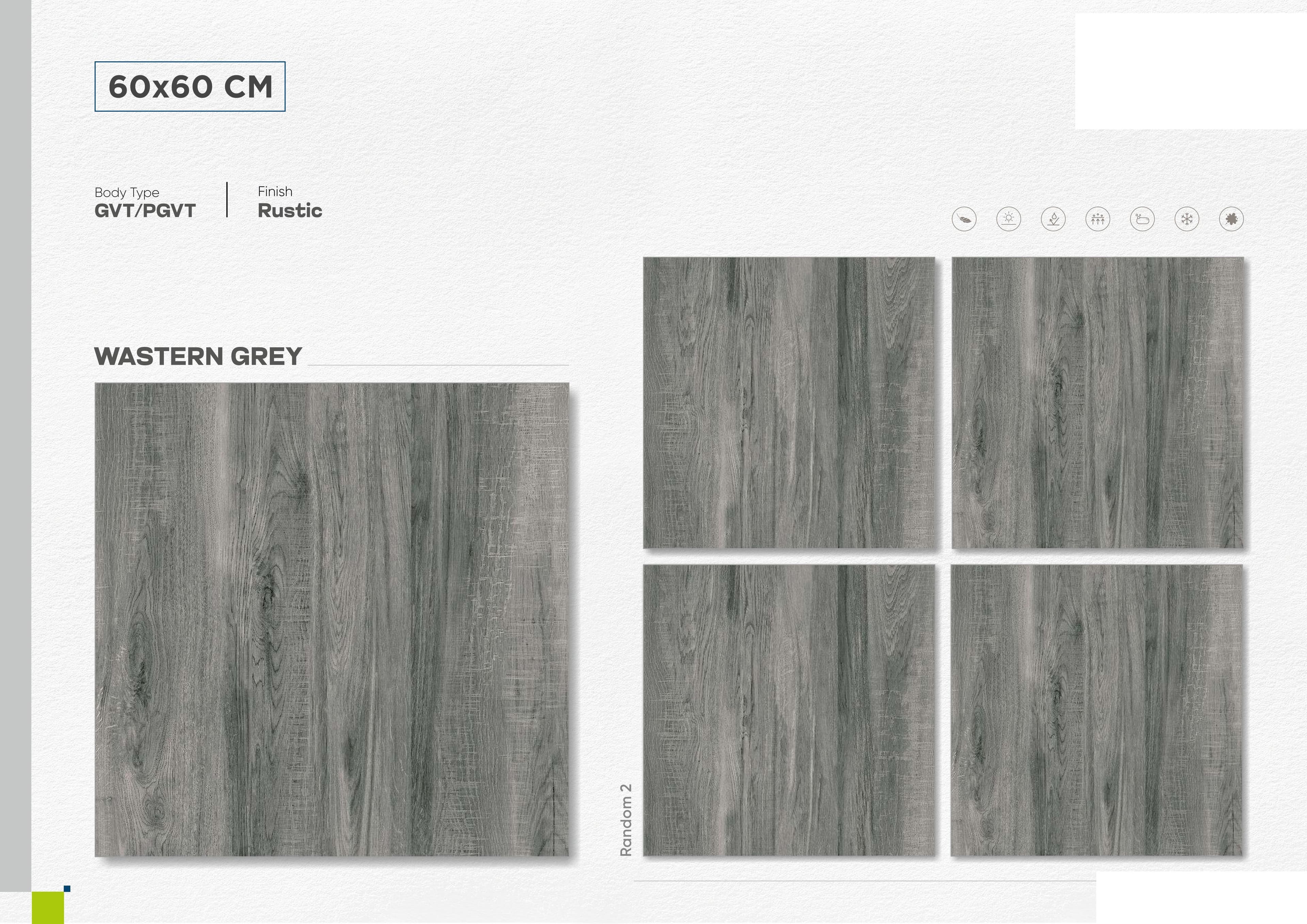 Wastern Grey